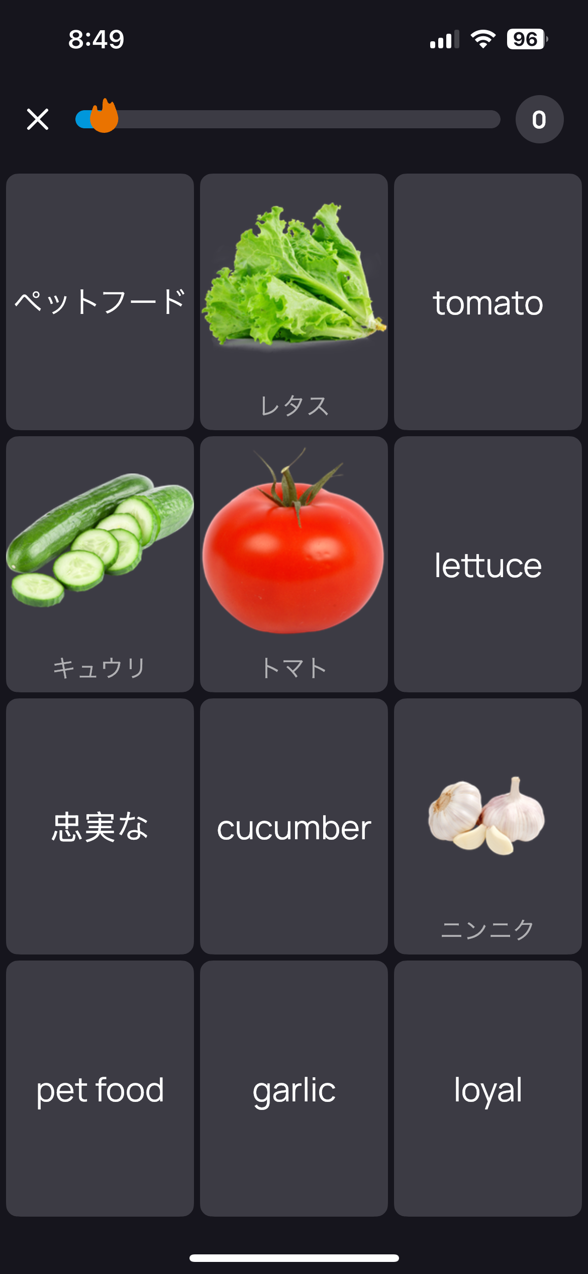 ENvocab Screenshot 5