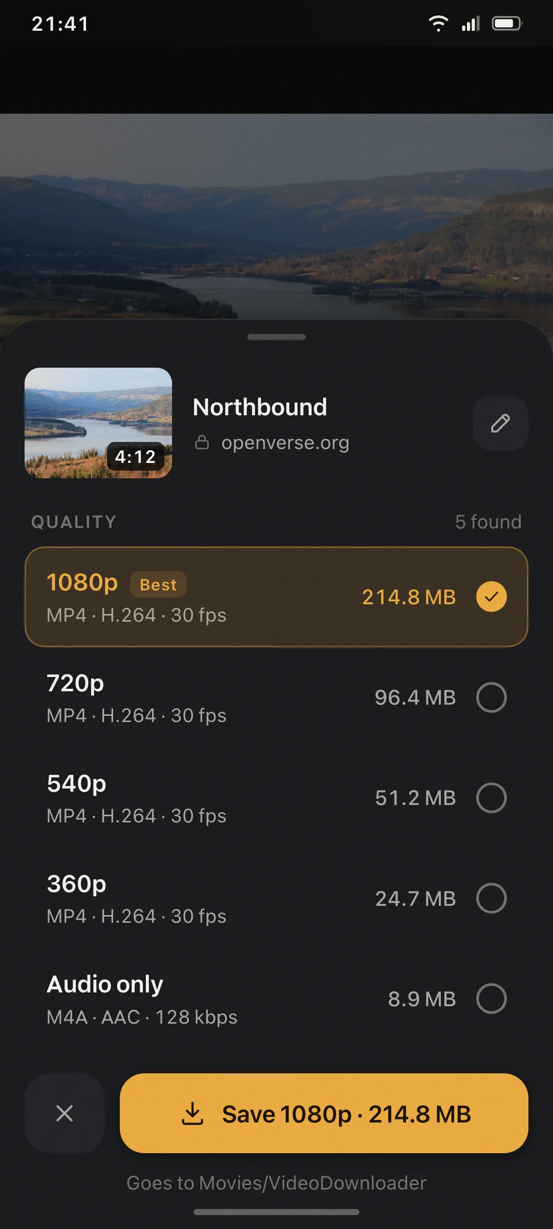 Quality selection with video and audio options